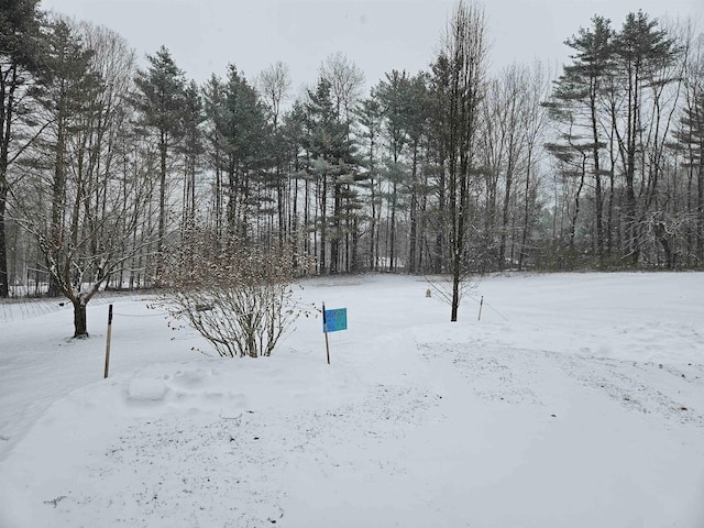 view of yard layered in snow