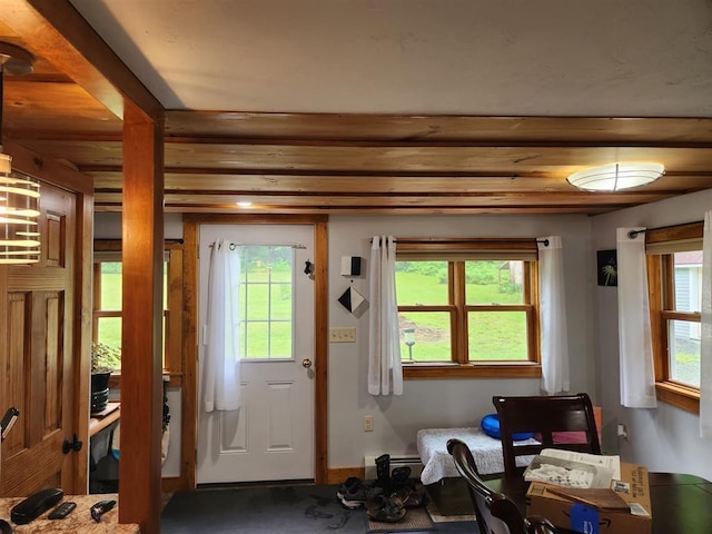 doorway featuring plenty of natural light