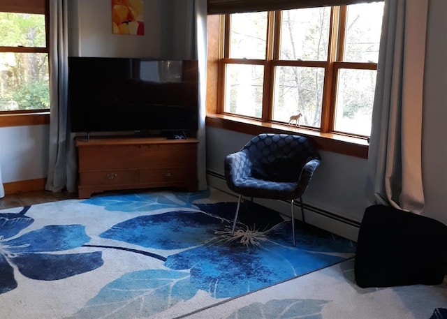 sitting room featuring a baseboard heating unit