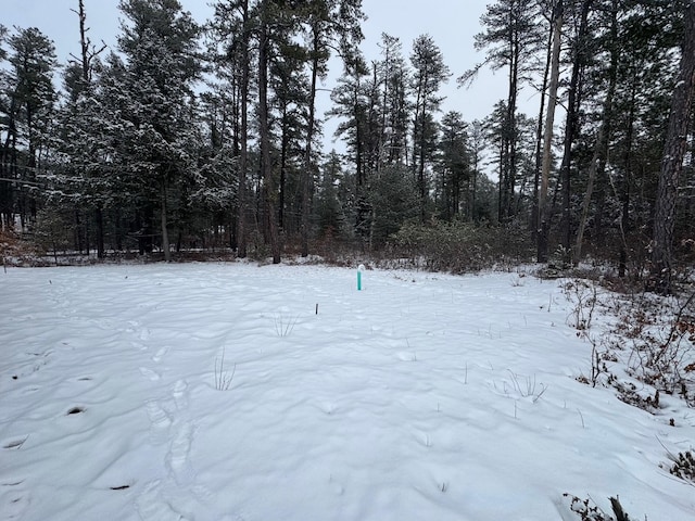 view of yard layered in snow