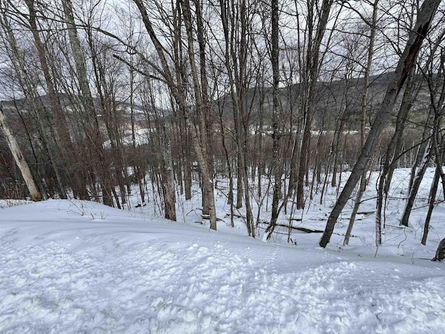 Listing photo 2 for LOT12 Barrows Towne Rd, Killington VT 05751