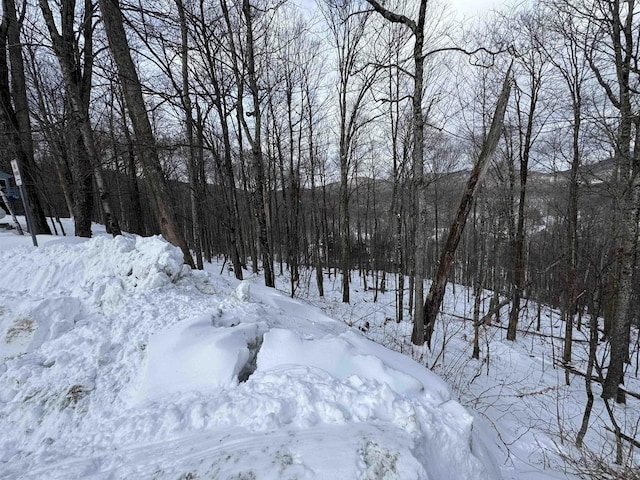 Listing photo 3 for LOT12 Barrows Towne Rd, Killington VT 05751