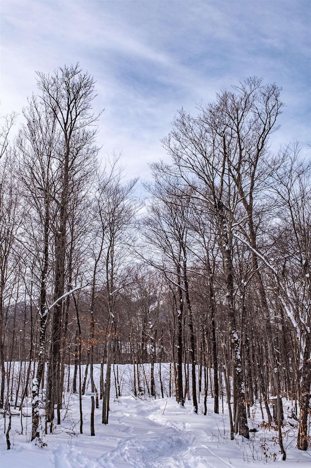 view of snowy landscape