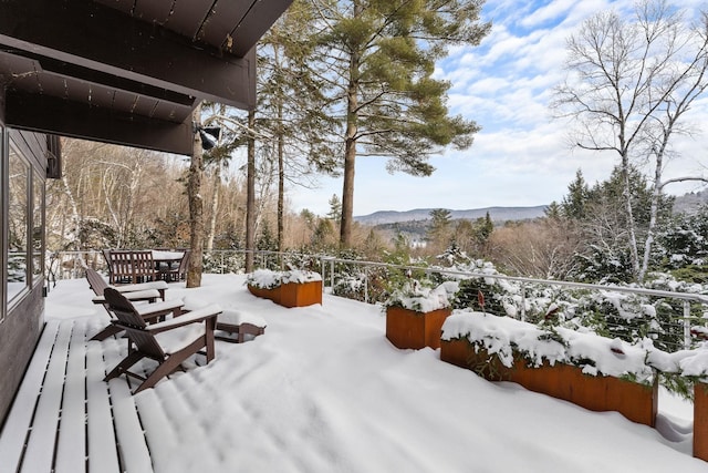 yard layered in snow with a mountain view