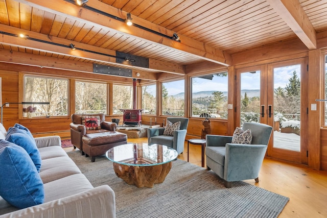 living room with a mountain view, wood walls, a wood stove, french doors, and rail lighting