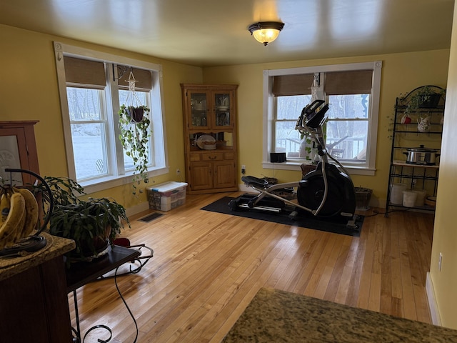 exercise room featuring light hardwood / wood-style floors and a healthy amount of sunlight