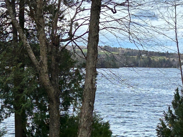 view of water feature