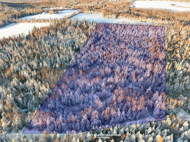 OFF Bungy Rd, Columbia NH, 03576 land for sale