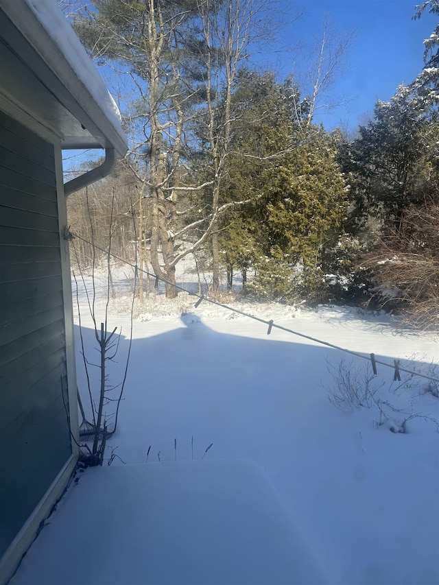 view of yard covered in snow