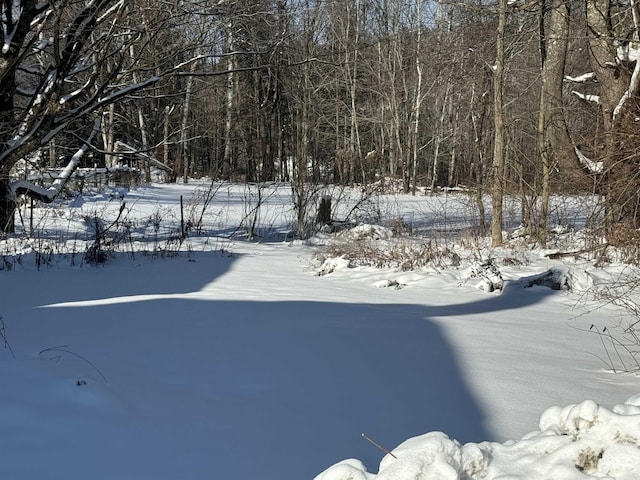 view of yard covered in snow