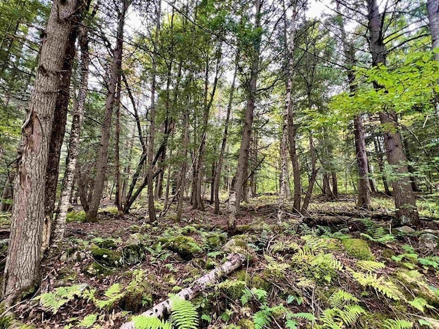 0 Kidder Rd, Bradford VT, 05033 land for sale