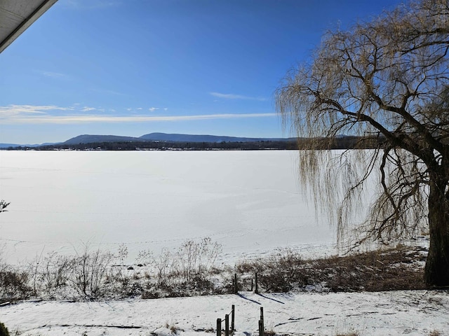 property view of water with a mountain view