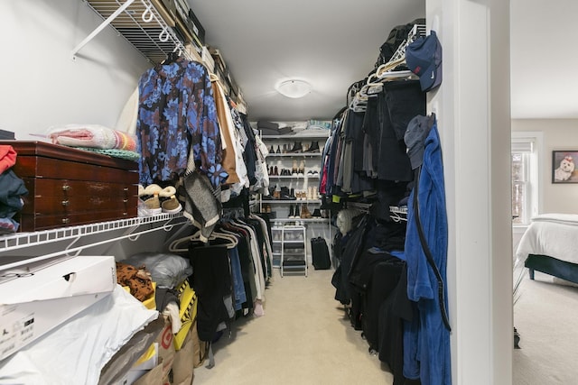 spacious closet with light colored carpet