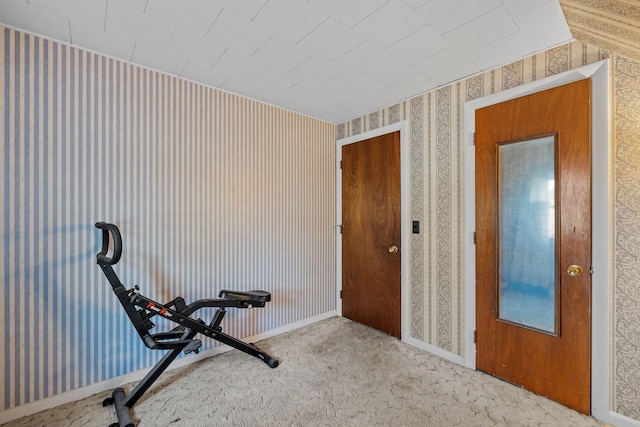 exercise room featuring carpet flooring