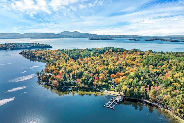 birds eye view of property featuring a water and mountain view