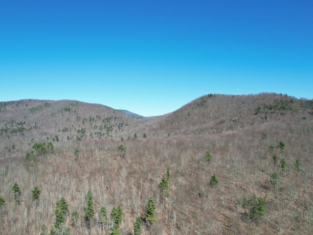 Listing photo 3 for 0 Chunks Brook Rd, Sandgate VT 12873