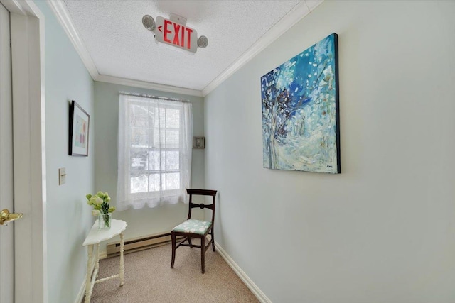 living area with crown molding, light colored carpet, a textured ceiling, and a baseboard heating unit