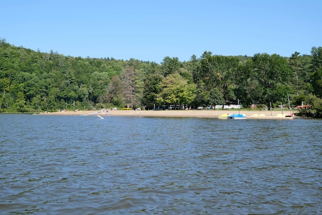241 Bear Hill Rd, Plymouth, VT 05056 - water view featuring a forest