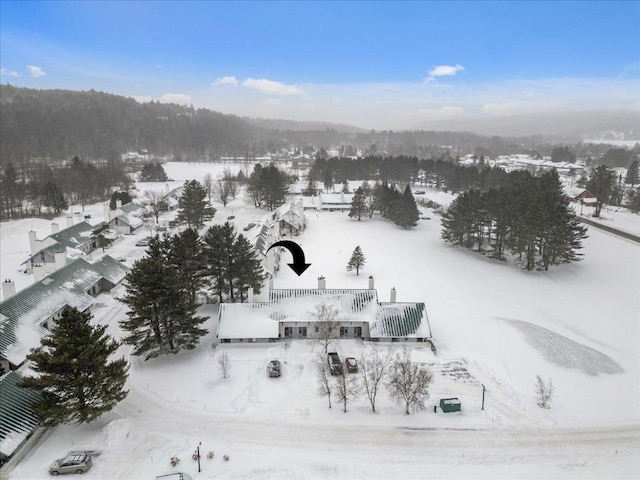 view of snowy aerial view