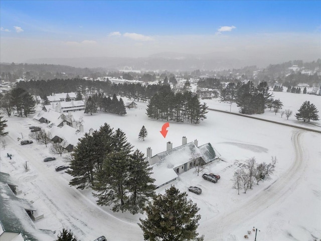 view of snowy aerial view