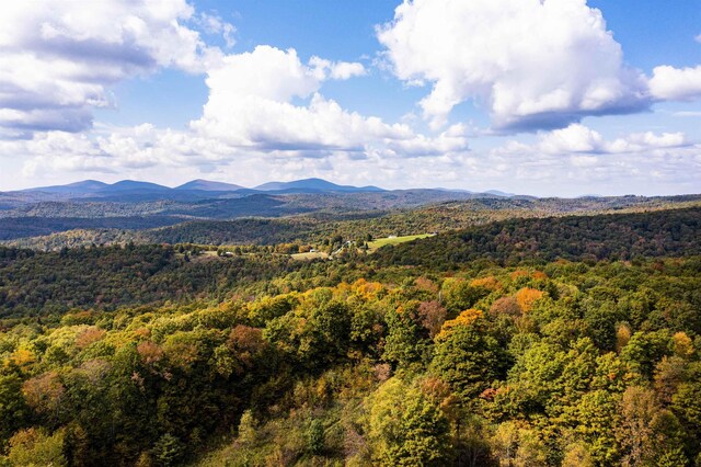61 Crosby Rd, Topsham, VT 05076 - mountain view