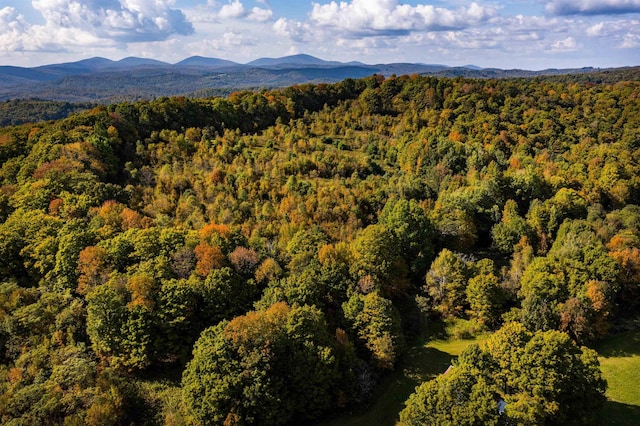 61 Crosby Rd, Topsham, VT 05076 - property view of mountains