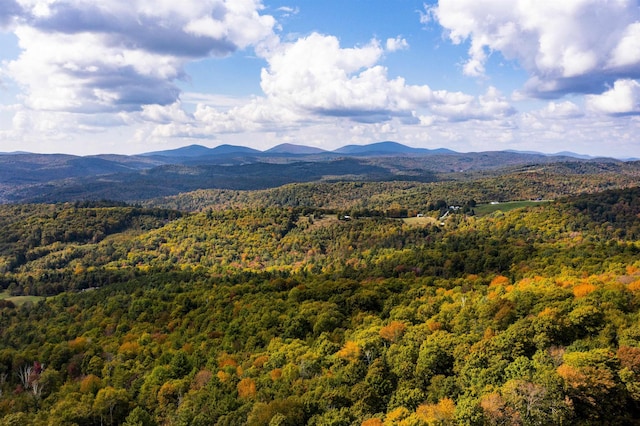 61 Crosby Rd, Topsham, VT 05076 - view of mountain feature