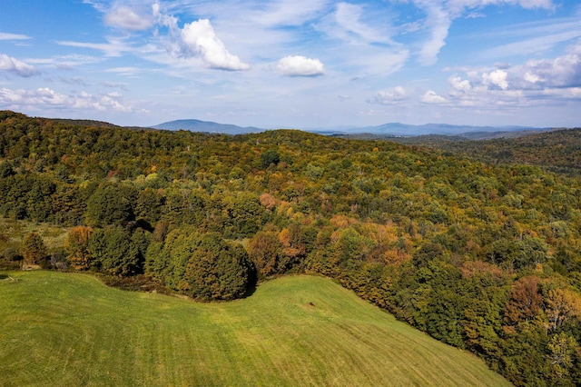 61 Crosby Rd, Topsham, VT 05076 - property view of mountains