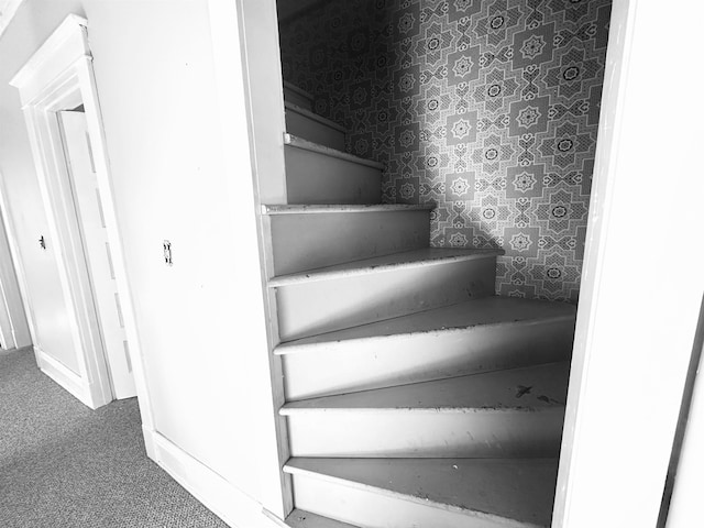 stairway featuring carpet flooring