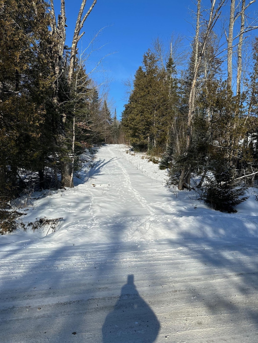 1412 Bean Pond Rd, Wheelock, VT 05851