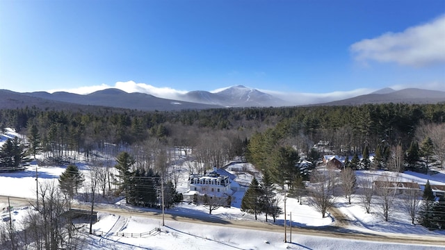 view of mountain feature