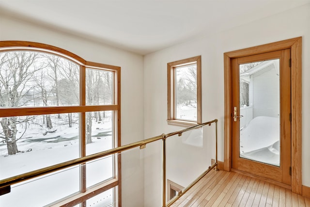 entryway with light wood-type flooring