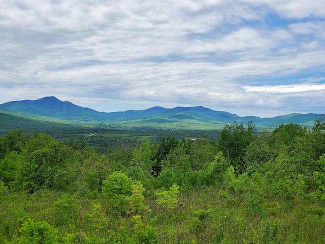 00 Bergerpn Rd, Troy VT, 05859 land for sale