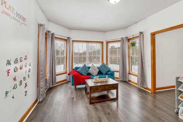 sitting room with dark hardwood / wood-style flooring