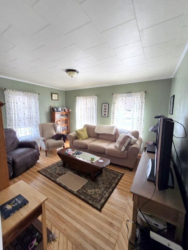 living room featuring ornamental molding, a wealth of natural light, and hardwood / wood-style flooring