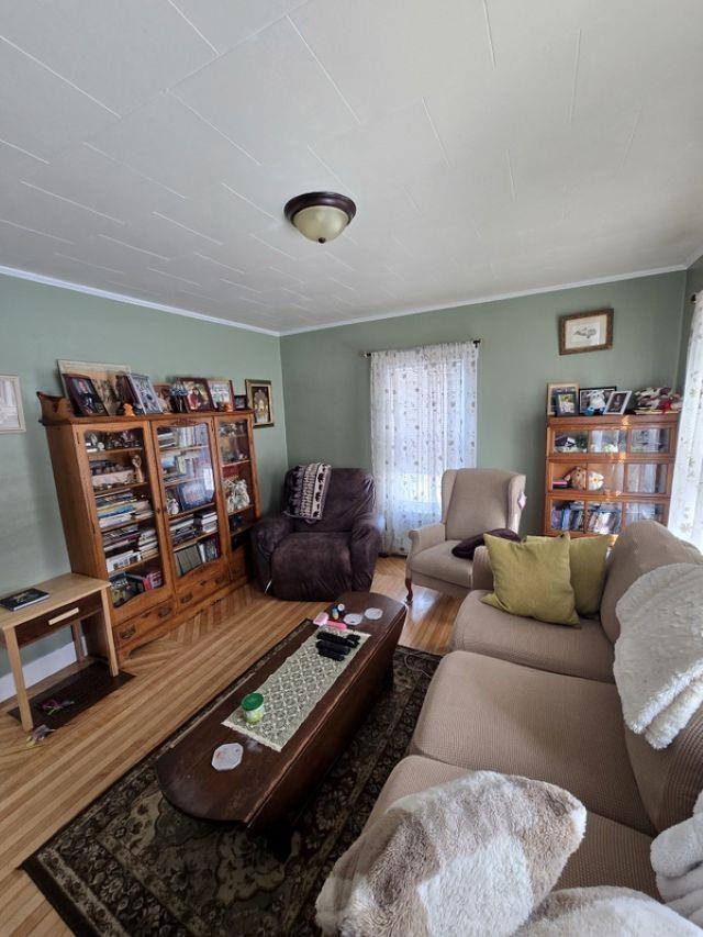 living room with ornamental molding and hardwood / wood-style floors