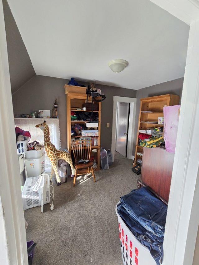 bedroom with lofted ceiling and carpet flooring