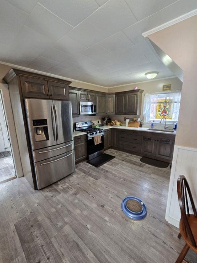 kitchen featuring appliances with stainless steel finishes, dark brown cabinets, and light wood-type flooring