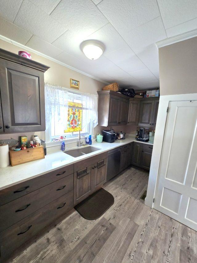 kitchen featuring dishwasher, light wood-type flooring, crown molding, dark brown cabinets, and sink