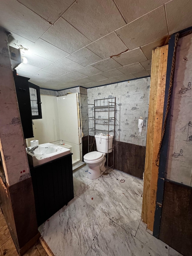 bathroom featuring vanity, toilet, and wood walls