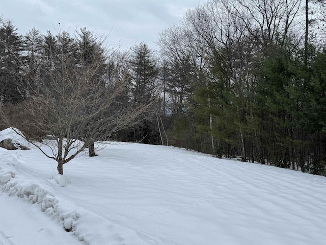 view of snowy landscape