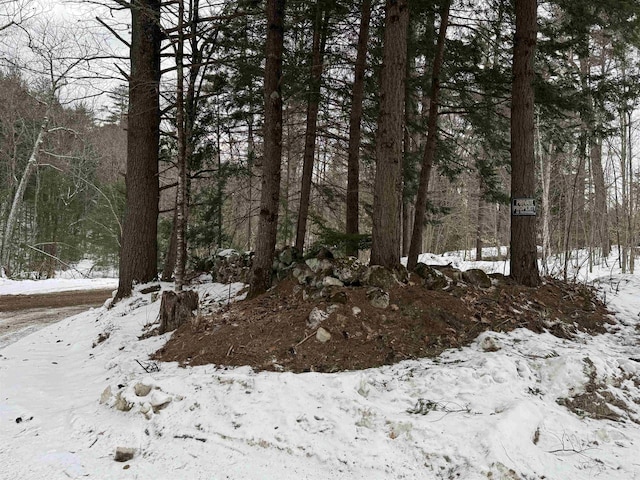 view of snowy landscape