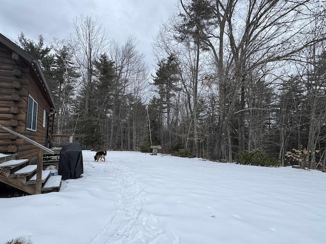 view of yard layered in snow