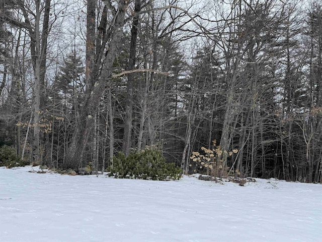 view of snow covered land