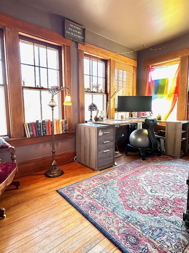 office area with hardwood / wood-style flooring