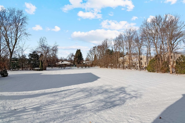 view of snowy yard