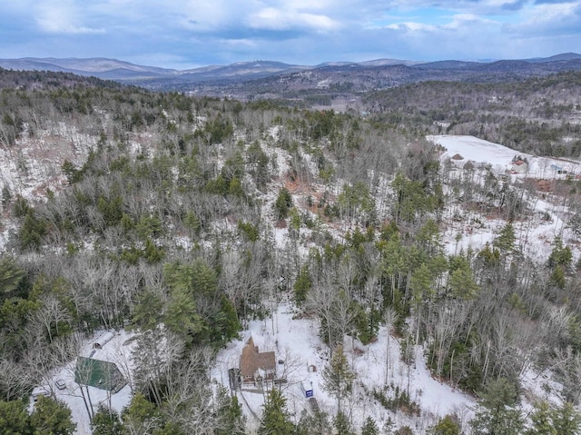 snowy aerial view featuring a mountain view