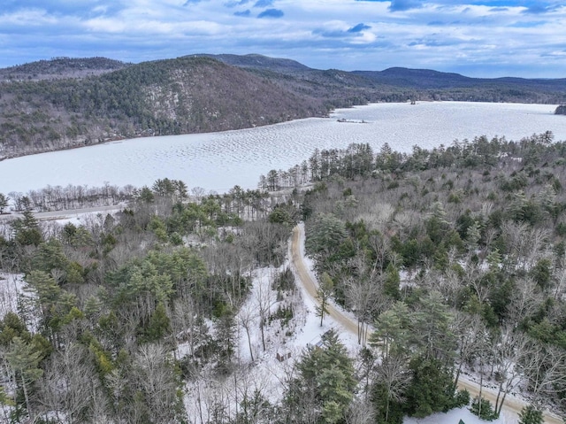 birds eye view of property featuring a water and mountain view