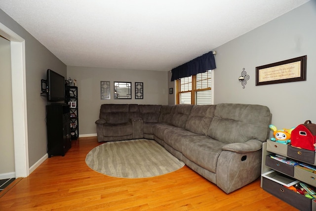 living room with hardwood / wood-style flooring