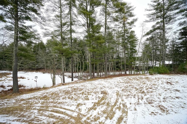 view of snow covered land